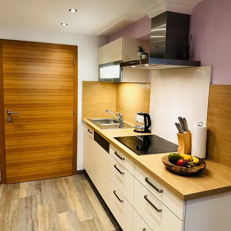 Haus Marchegg 公寓 图克斯