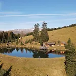 Haus Marchegg 公寓 图克斯